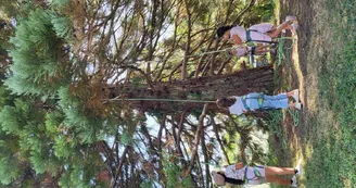 Grimpe Arbre 1 (1)