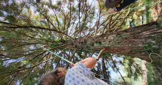 Grimpe Arbre 1 (3)