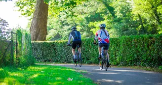 a.vacheron-2017-0429.jpg a.vacheron-2017-0429.jpg