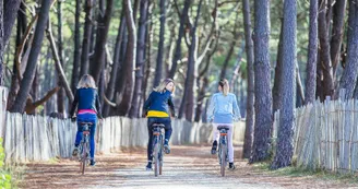 biscarrosse-velo-vivier.jpg biscarrosse-velo-vivier.jpg